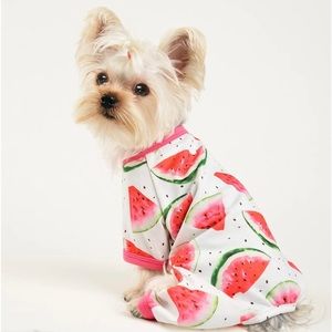 Dog Pajamas for Small Dogs, (Watermelon, X-Small)